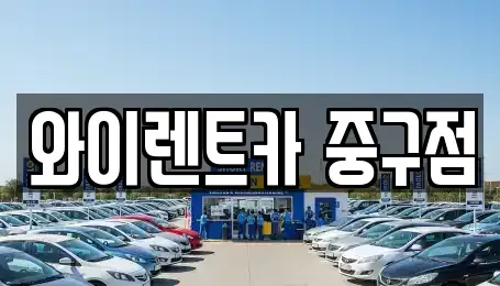 서울 중구 을지로5가 렌트카 전문 와이렌트카 중구점
