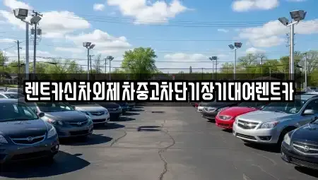 서울 중구 을지로5가 장기렌트카 전문 렌트카신차외제차중고차단기장기대여렌트카
