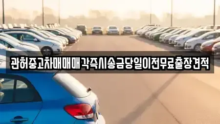 서울 중구 을지로5가 중고차매매 전문 관허중고차매매매각즉시송금당일이전무료출장견적
