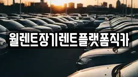 서울 중구 충정로1가 장기렌트카 전문 월렌트장기렌트플랫폼직카