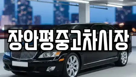 서울 중구 충정로1가 중고차매매,단기렌트카,중고차매입,장기렌트카,중고차,렌트카