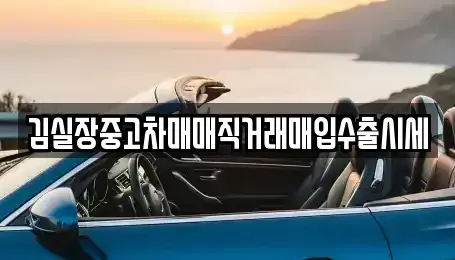 서울 중구 충정로1가 중고차매입 전문 김실장중고차매매직거래매입수출시세