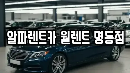 서울 중구 회현동2가 렌트카 전문 알파렌트카 월렌트 명동점