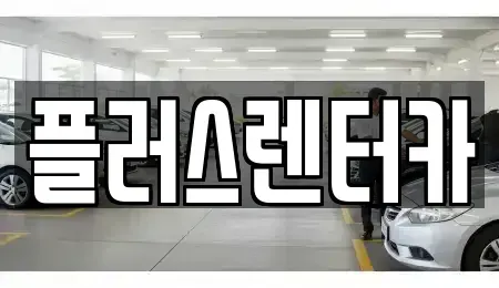 서울 중구 회현동2가 렌트카 전문 플러스렌터카
