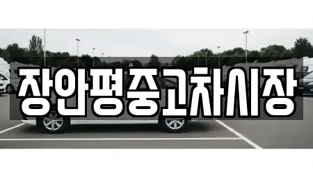 서울 중구 회현동2가 중고차매매 전문 장안평중고차시장