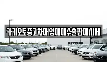 서울 중구 회현동2가 중고차매입 전문 카카오토중고차매입매매수출판매시세