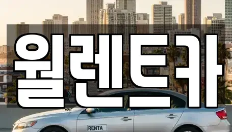 서울특별시 강북구 수유동 렌트카 전문 월렌트카
