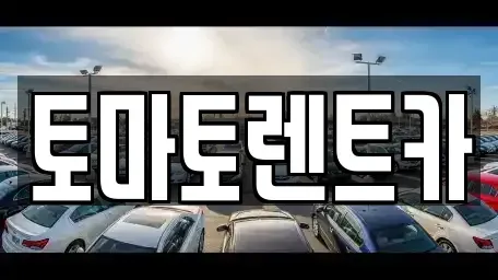서울특별시 강북구 수유동 렌트카 전문 토마토렌트카
