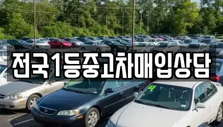 서울특별시 강북구 수유동 중고차 전문 전국1등중고차매입상담