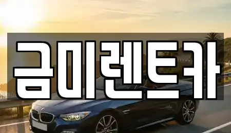 서울특별시 강서구 내발산동 렌트카 전문 금미렌트카
