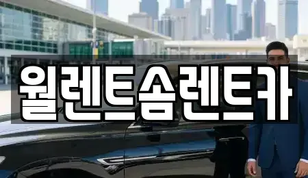 서울특별시 강서구 내발산동 렌트카 전문 월렌트솜렌트카
