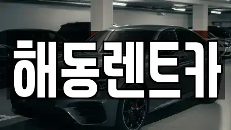 서울특별시 강서구 내발산동 렌트카 전문 해동렌트카