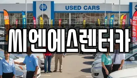 서울특별시 강서구 내발산동 장기렌트카 전문 씨엔에스렌터카