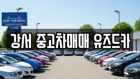서울특별시 강서구 내발산동 중고차,렌트카,중고차매입,중고차매매,장기렌트카,단기렌트카