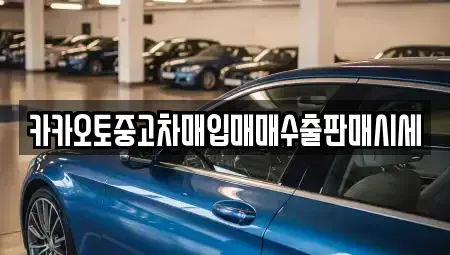 서울특별시 강서구 내발산동 중고차 전문 카카오토중고차매입매매수출판매시세