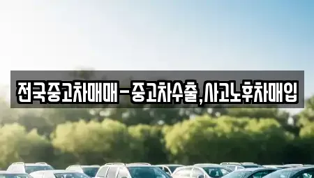 서울특별시 강서구 내발산동 중고차매입 전문 전국중고차매매-중고차수출,사고노후차매입