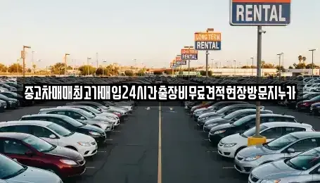 서울특별시 강서구 내발산동 중고차매입 전문 중고차매매최고가매입24시간출장비무료견적현장방문지누카