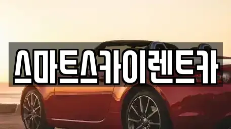 서울특별시 도봉구 도봉동 렌트카 전문 스마트스카이렌트카