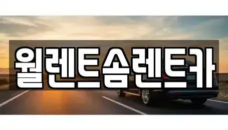 서울특별시 도봉구 도봉동 렌트카 전문 월렌트솜렌트카