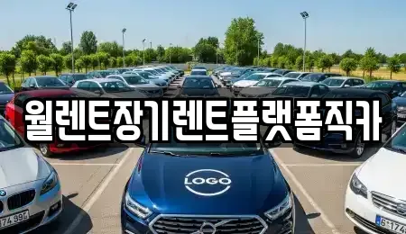 서울특별시 도봉구 도봉동 장기렌트카 전문 월렌트장기렌트플랫폼직카