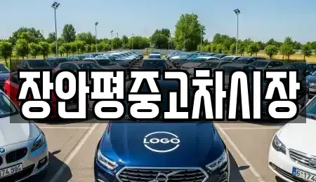 서울특별시 도봉구 도봉동 중고차매매,단기렌트카,중고차매입,장기렌트카,중고차,렌트카