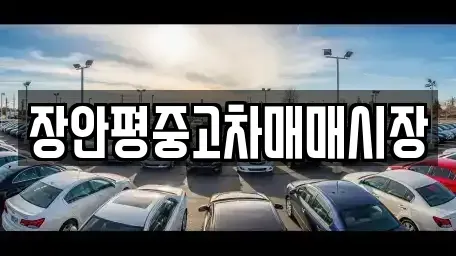 서울특별시 동대문구 용두동 중고차매매 전문 장안평중고차매매시장