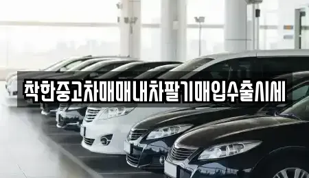 서울특별시 동대문구 용두동 중고차매입 전문 착한중고차매매내차팔기매입수출시세