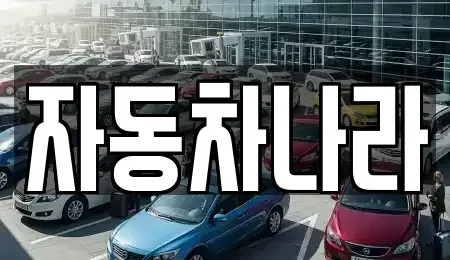 서울특별시 동대문구 회기동 중고차매매 전문 자동차나라