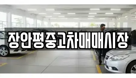 서울특별시 동대문구 회기동 중고차매매 전문 장안평중고차매매시장