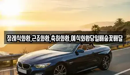 서울특별시 동대문구 회기동 중고차매입 전문 장례식화환,근조화환,축하화환,예식화환당일배송꽃배달