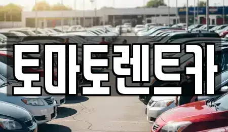 서울특별시 송파구 거여동 렌트카 전문 토마토렌트카