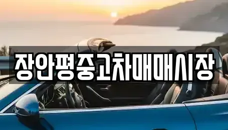 서울특별시 송파구 거여동 중고차 전문 장안평중고차매매시장