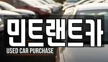 서울특별시 송파구 송파동 단기렌트카 전문 민트랜트카