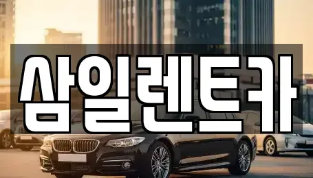 서울특별시 송파구 송파동 렌트카 전문 삼일렌트카