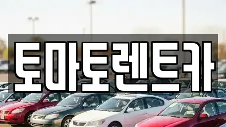 서울특별시 송파구 송파동 렌트카 전문 토마토렌트카