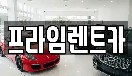 서울특별시 송파구 송파동 렌트카 전문 프라임렌트카