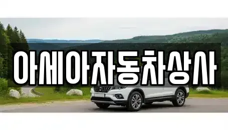 서울특별시 송파구 송파동 중고차매매 전문 아세아자동차상사