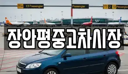 서울특별시 송파구 송파동 중고차매매 전문 장안평중고차시장