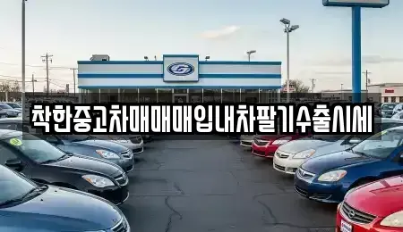 서울특별시 송파구 송파동 중고차매매 전문 착한중고차매매매입내차팔기수출시세
