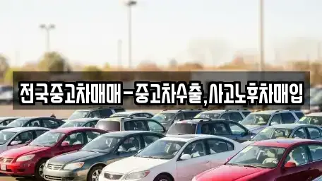 서울특별시 송파구 송파동 중고차매입 전문 전국중고차매매-중고차수출,사고노후차매입