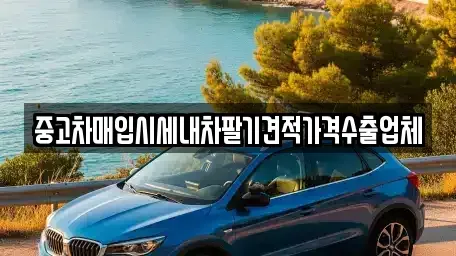 서울특별시 송파구 송파동 중고차매입 전문 중고차매입시세내차팔기견적가격수출업체
