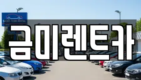 서울특별시 영등포구 대림동 단기렌트카 전문 금미렌트카