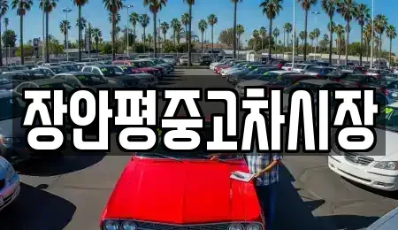 서울특별시 영등포구 대림동 중고차 전문 장안평중고차시장