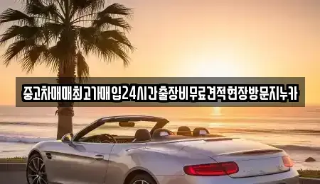 서울특별시 영등포구 대림동 중고차매입 전문 중고차매매최고가매입24시간출장비무료견적현장방문지누카