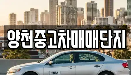 서울특별시 영등포구 문래동6가 중고차매매,단기렌트카,중고차매입,장기렌트카,중고차,렌트카