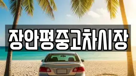 서울특별시 용산구 신창동 중고차 전문 장안평중고차시장