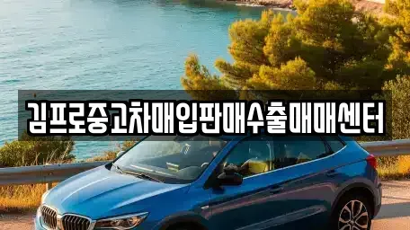 서울특별시 용산구 신창동 중고차매입 전문 김프로중고차매입판매수출매매센터