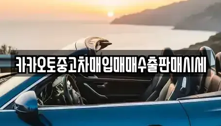 서울특별시 용산구 신창동 중고차매입 전문 카카오토중고차매입매매수출판매시세