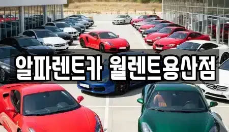 서울특별시 용산구 용산동3가 렌트카 전문 알파렌트카 월렌트용산점