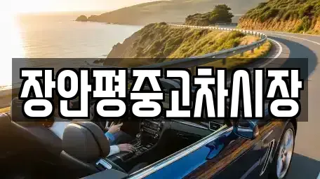 서울특별시 용산구 용산동3가 중고차 전문 장안평중고차시장